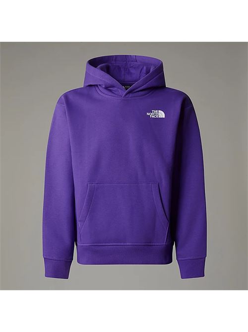 g vertical graphic oversized THE NORTH FACE | NF0A89HDNL41NL4